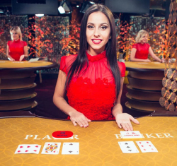 casino affiliate programs india